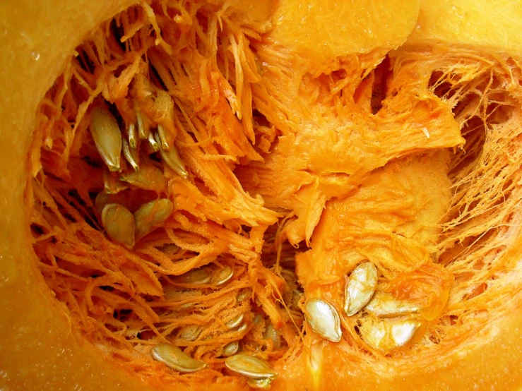 the inside of a squash is yellow and shows the seeds