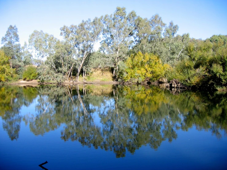 a river near some trees and water