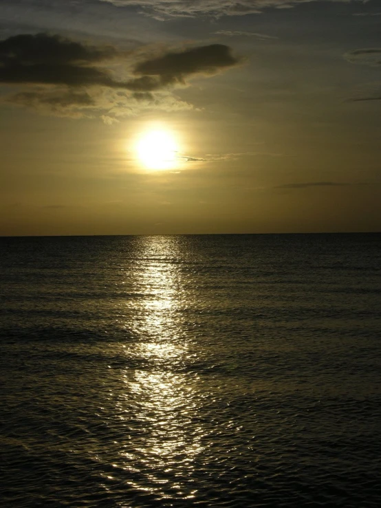 a lone bird standing in the ocean at sunrise