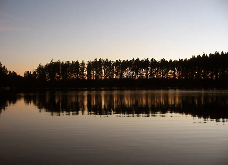 a large body of water surrounded by forest