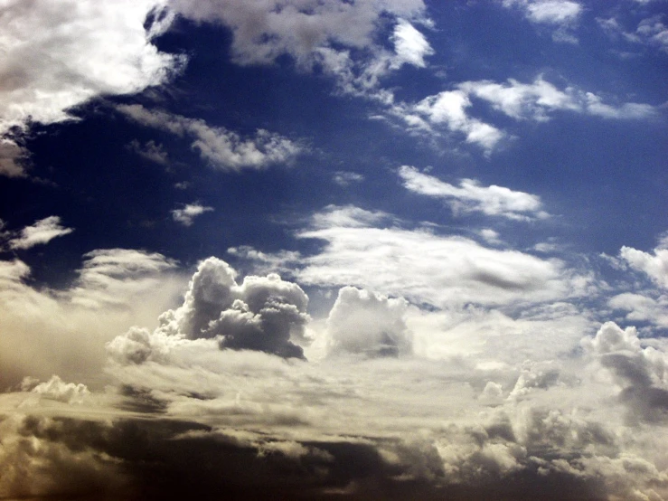 a bird standing in the cloudy air