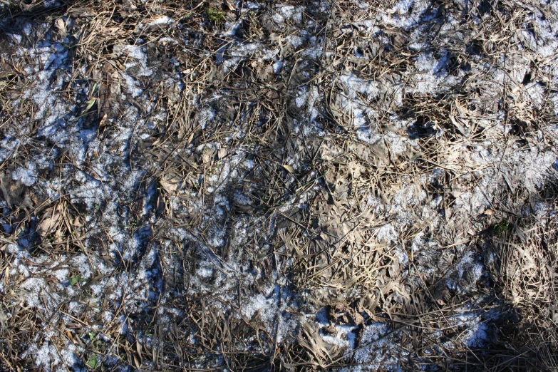 a field covered in snow and grass with grass marks