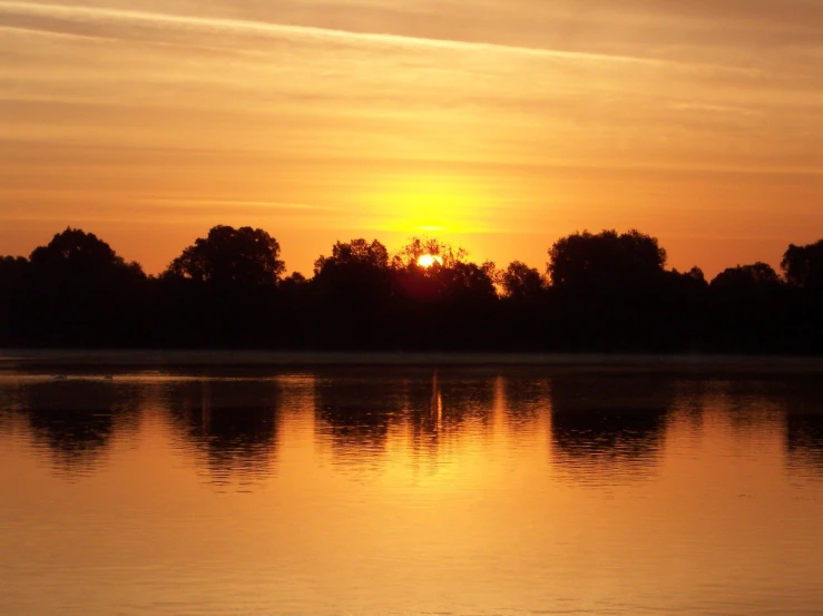 a large body of water with trees in the background