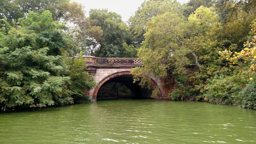 an old bridge over a stream in a wooded area