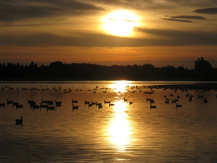 the sun is reflecting on the calm water