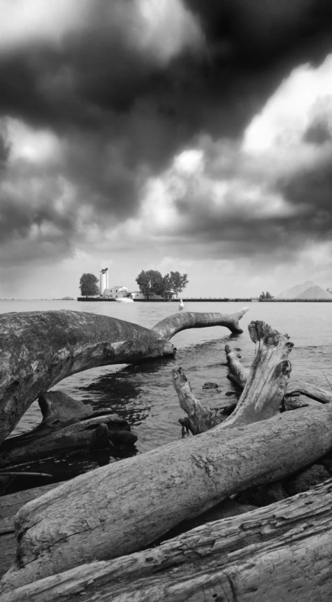 a black and white po shows a boat near logs