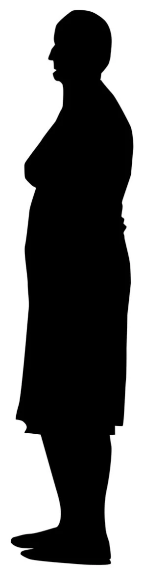 an silhouette of a person standing with his arm up