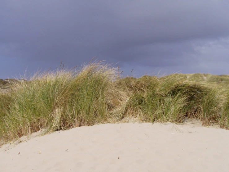 a bench that is on a sandy beach