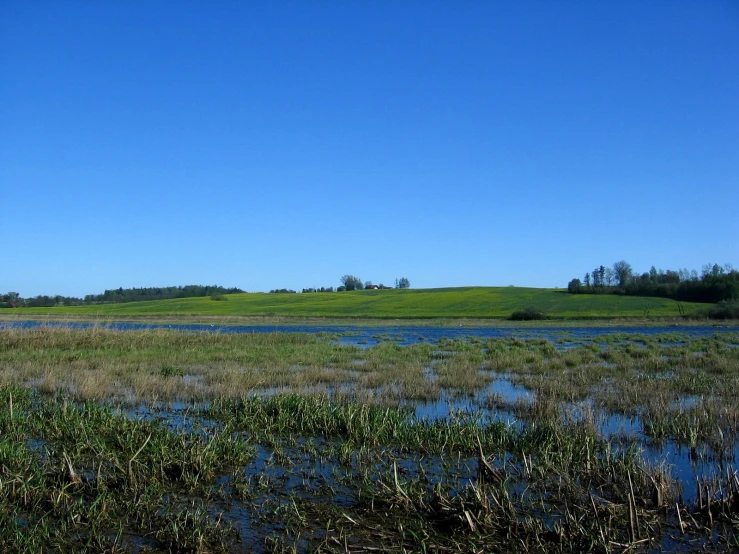 the open field is covered with water and grass