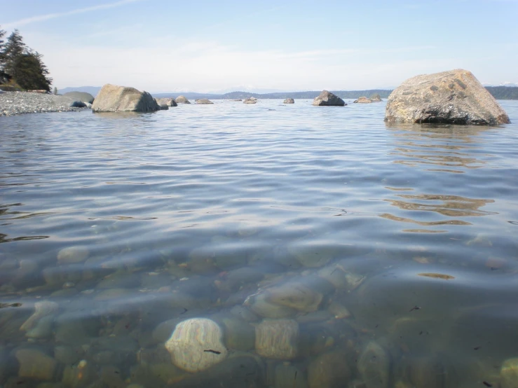 some rocks on the water and some water bubbles