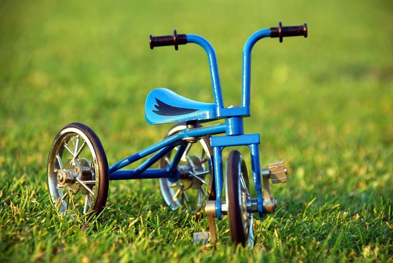 there is a small blue tricycle in the grass