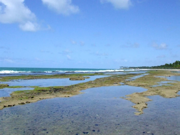 two people are standing on a beach with the water