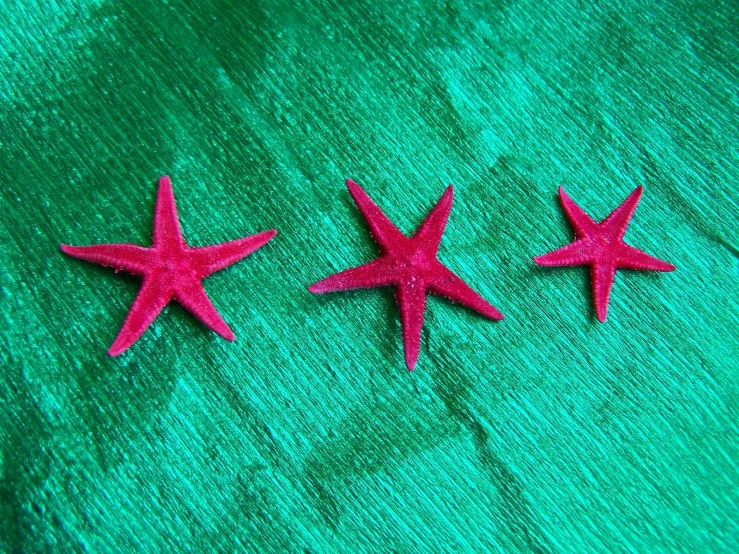 three pink starfish on a green background