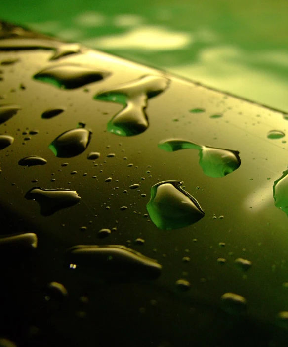 drops on the glass of a bottle with green leaves