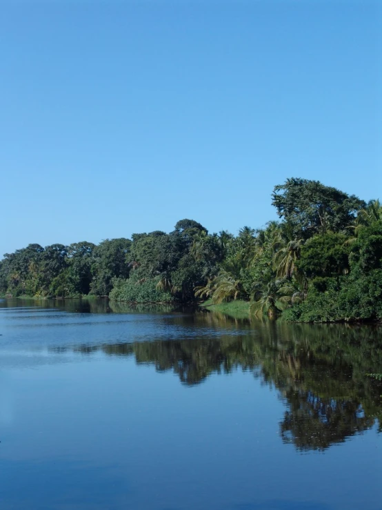 a canoe on a calm river surrounded by lush green trees