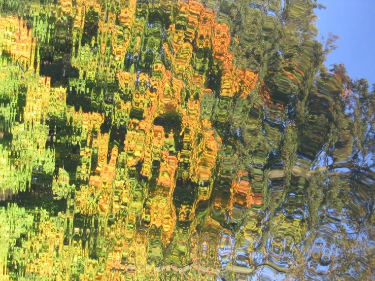 this is an image of the back splash of trees on water