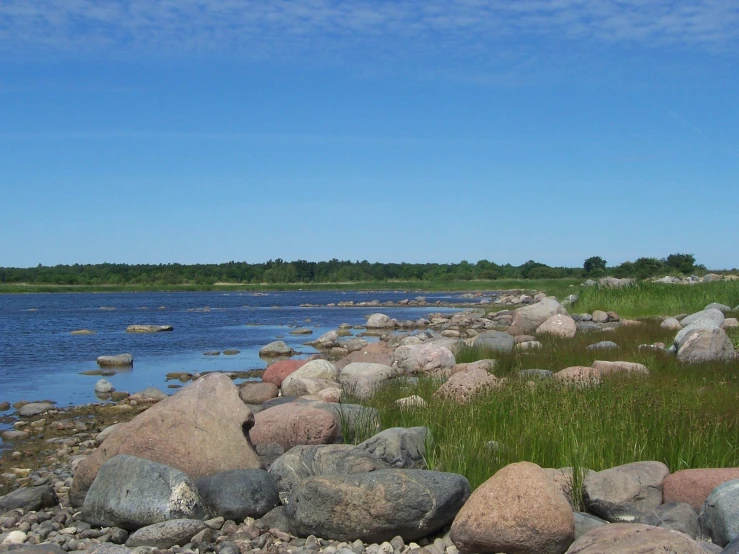 an area of rock and grass near a body of water