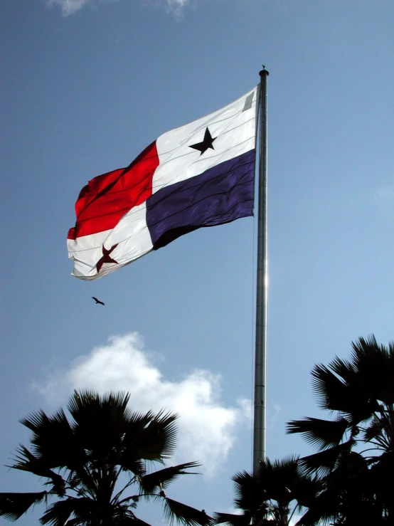 a texas state flag is fluttering on a flag pole