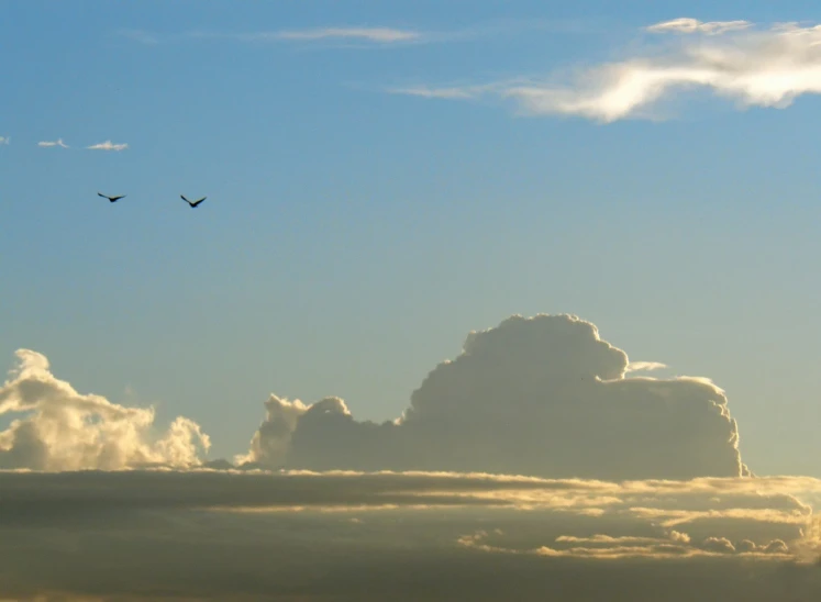 some very pretty clouds and some birds in the sky