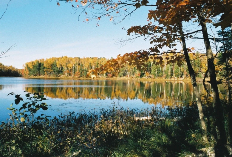 an empty lake surrounded by trees in the fall