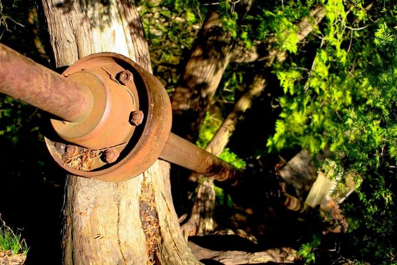 the rusted pipe is hanging from the tree