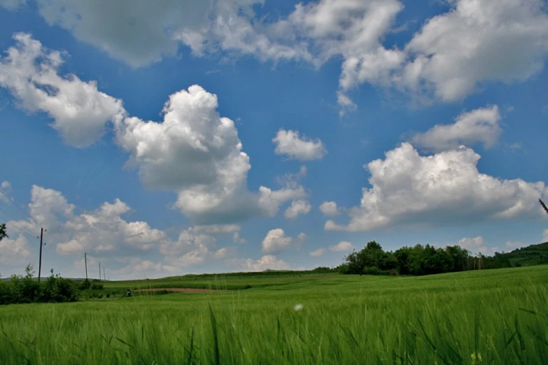 two kites flying high above an open green field