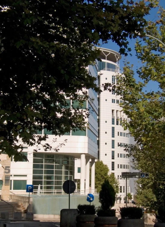 tall white building surrounded by trees on the sidewalk