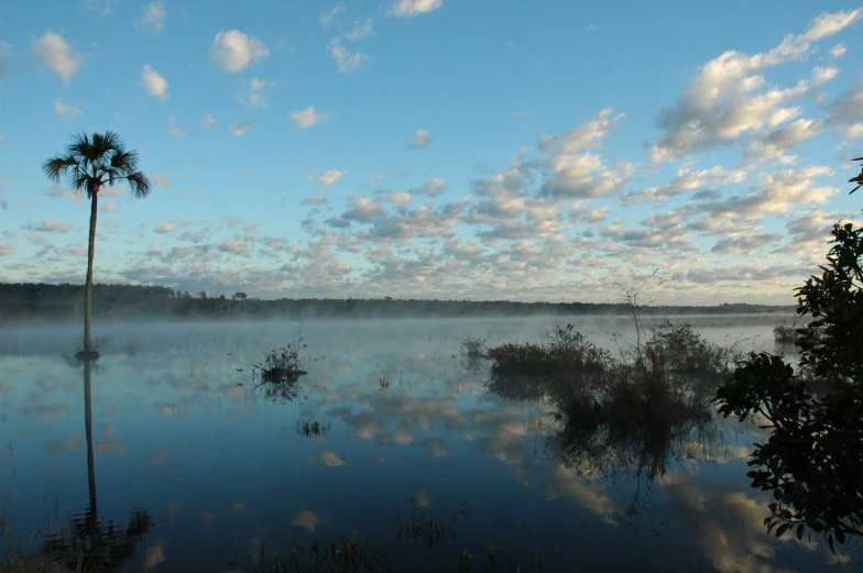 a large body of water surrounded by trees and clouds