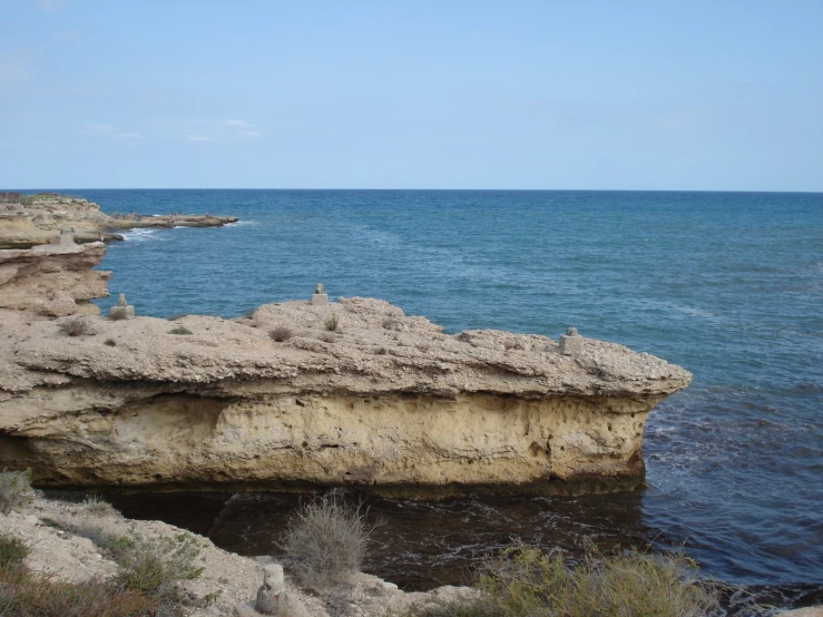 birds sitting on the edge of a cliff near the water