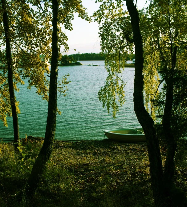 a rowboat is tied up at the shore of a lake