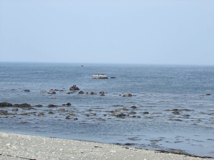 a person on a surfboard riding along the shore