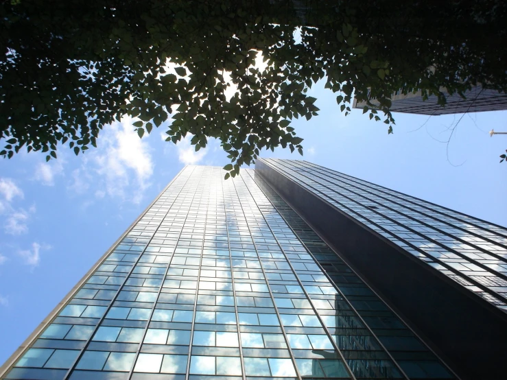 the view looking up at a tall glass building