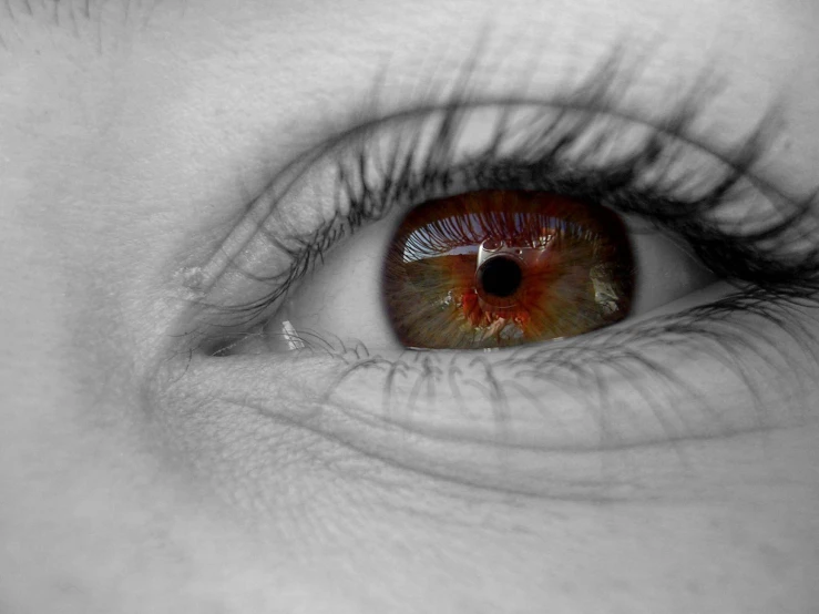 a person's eye is shown with long eyelashes