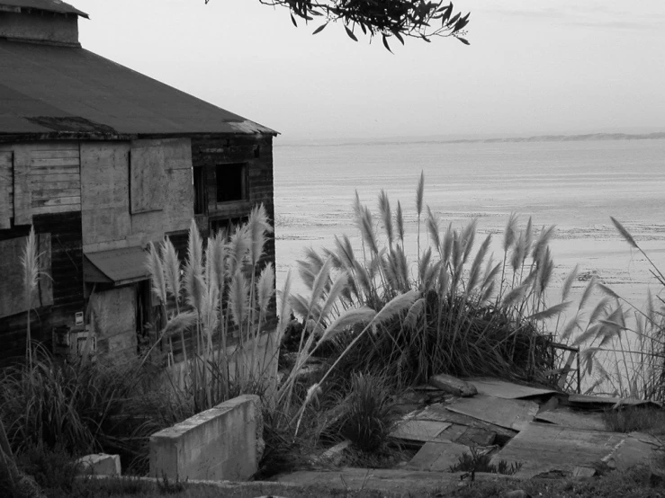 an old house that looks almost vacant, is close to the water