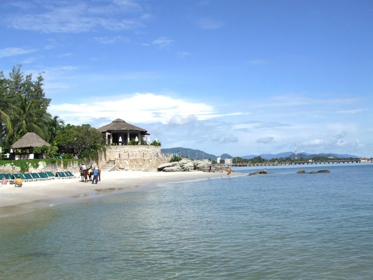 some people and trees are on the beach