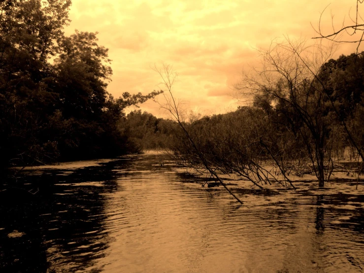 a river is running through some brown water