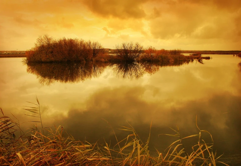 a river with brown grass and a sky filled with clouds