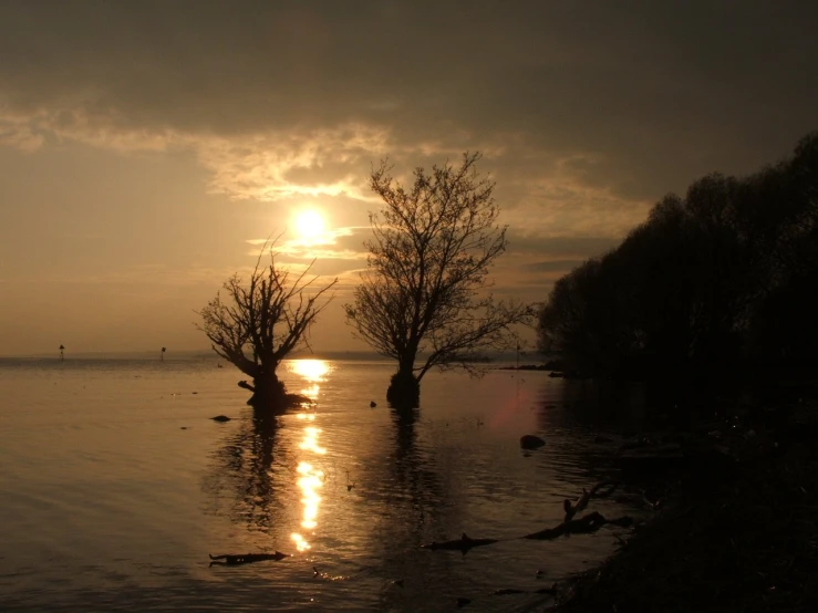 the sun rises in a darkened sky behind the trees in the water