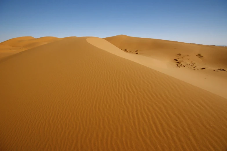 the sahara sand is vast for vehicle and caravanrs