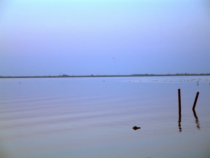 a large body of water that has birds on it