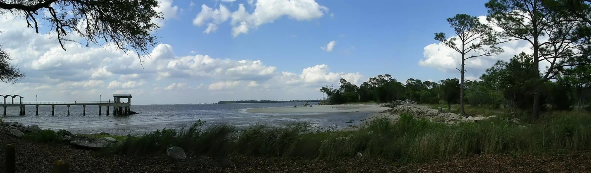 a person on a surf board near the water