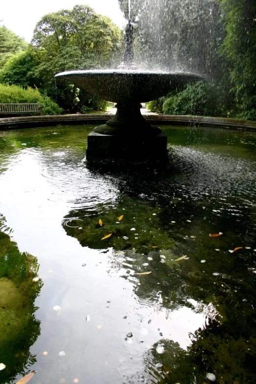 a large fountain and many smaller plants surrounding it