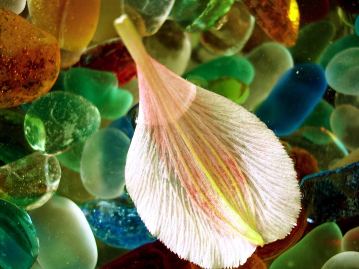 a flower is surrounded by several different colored glass stones