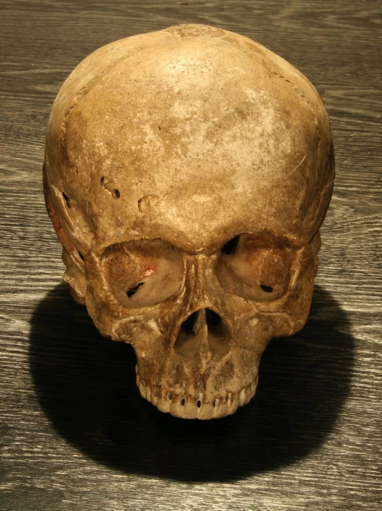 an image of a human skull made to look real