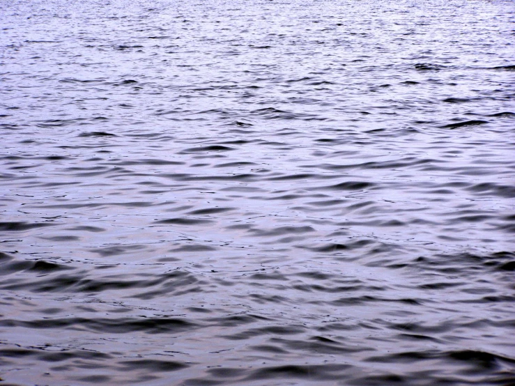 water covered by a lot of dots of raindrops