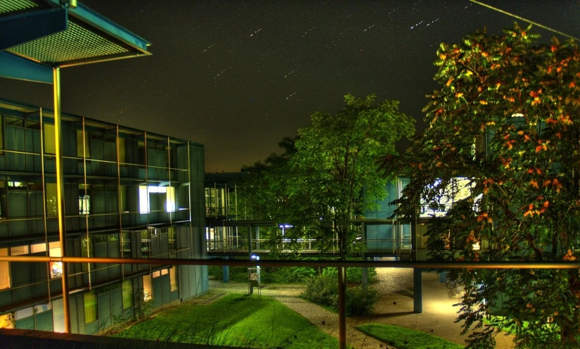 green space near buildings and an overhanging tree in the foreground