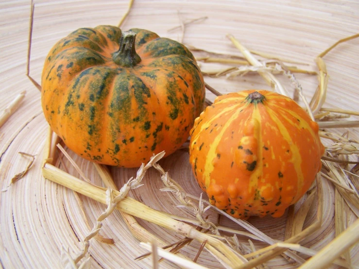 two small pumpkins sitting next to each other on hay