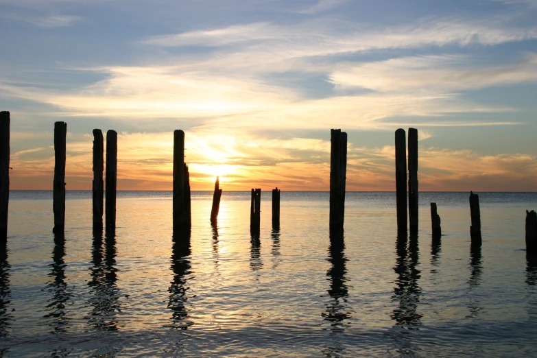 a group of poles in the water, as the sun sets