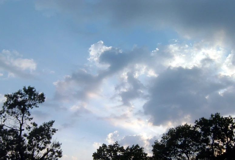 a cloud filled sky is seen behind the silhouette of trees