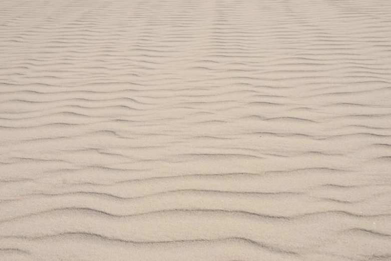 some footprints are on the sand at the beach